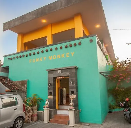 Funky Monkey Bali Hostel Kuta (Bali)